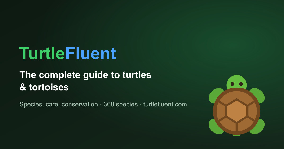 TurtleFluent — The Complete Guide to Turtles and Tortoises